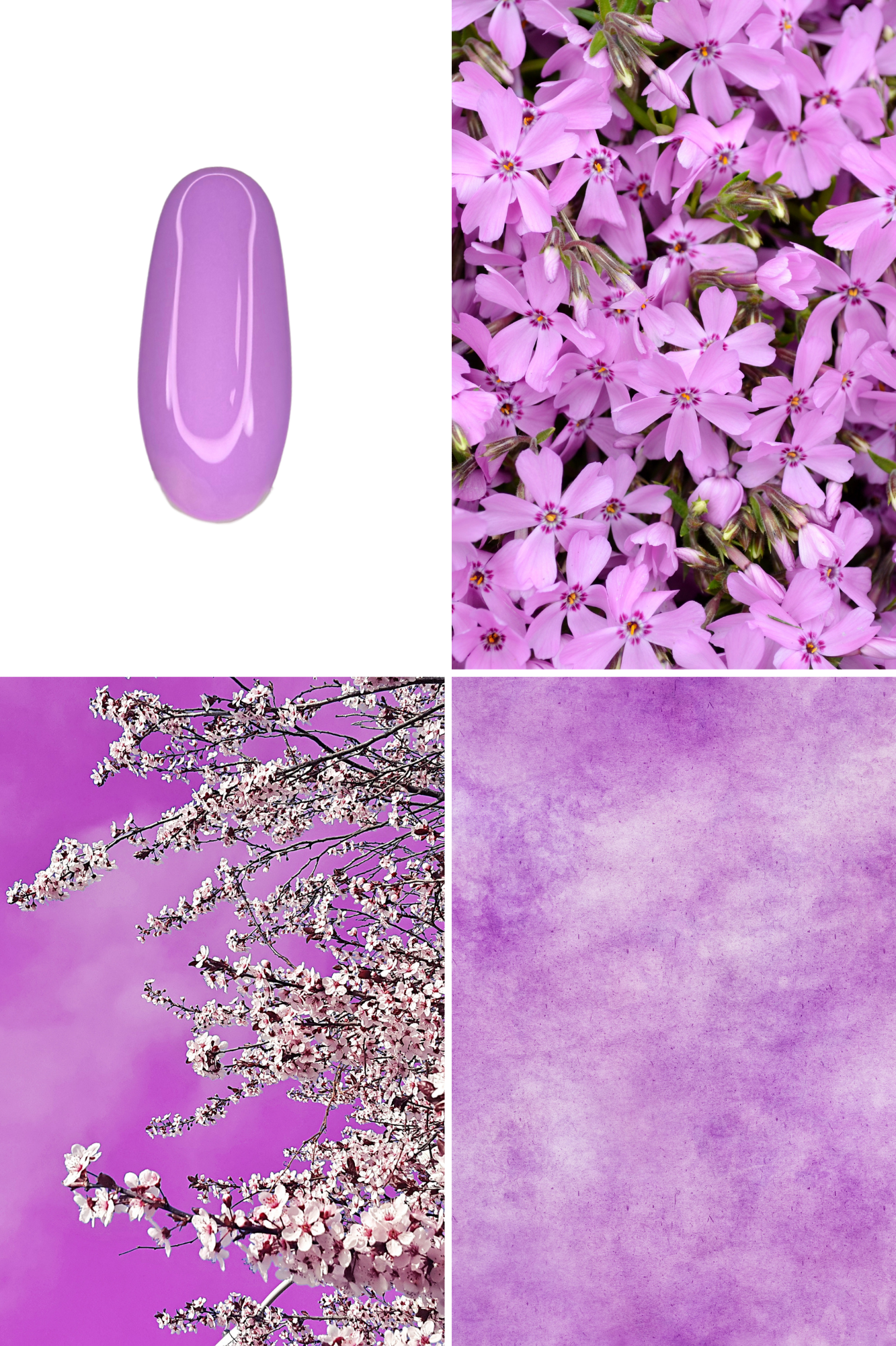JASMINE