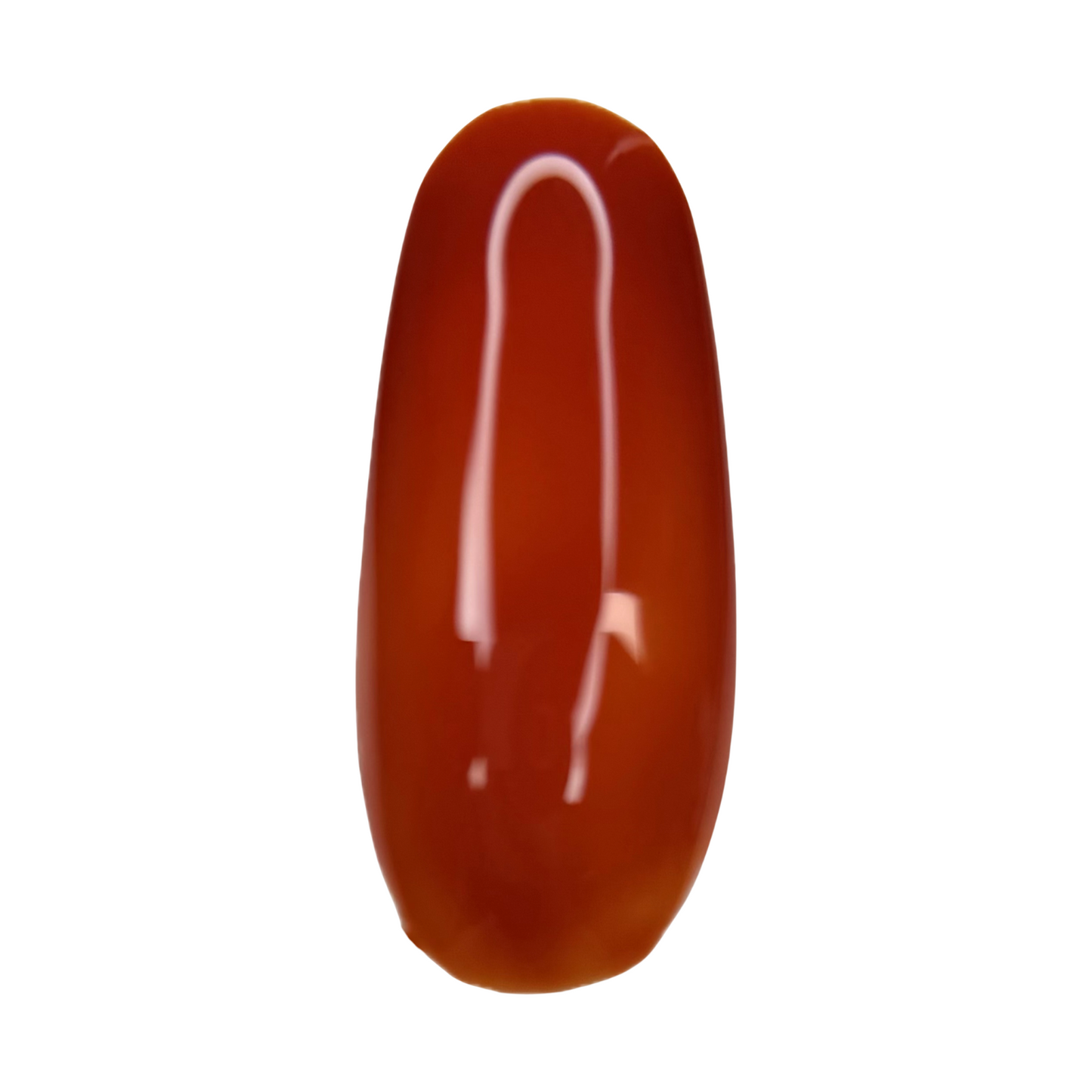 CANNELLA