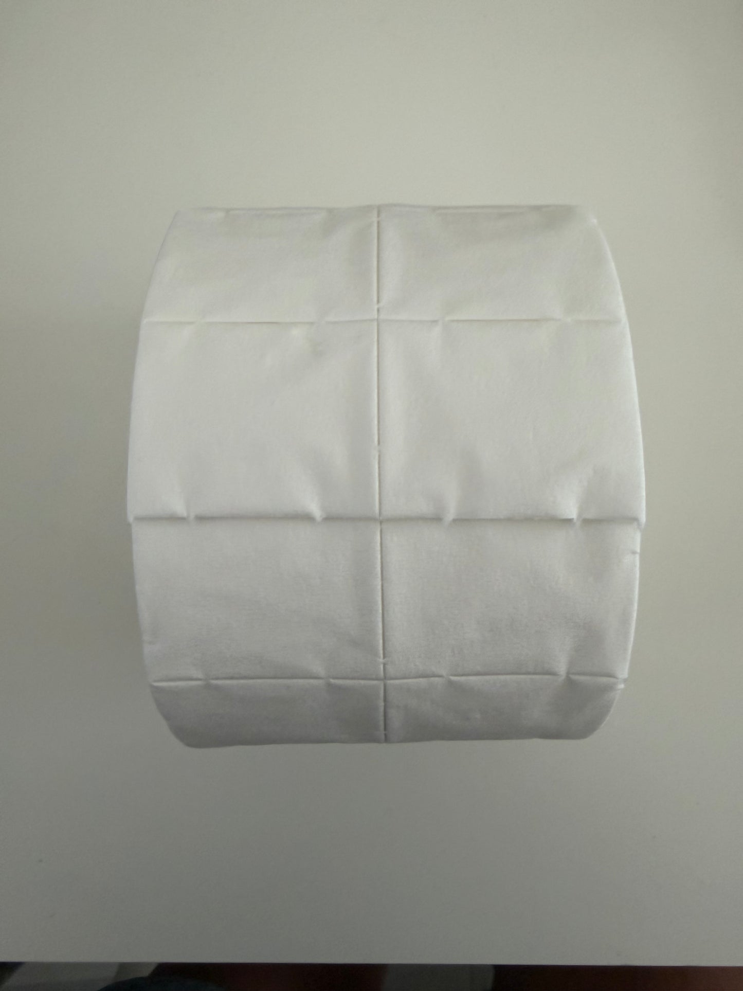 ROTOLO PAD DI COTONE PRESSATO 500pz
